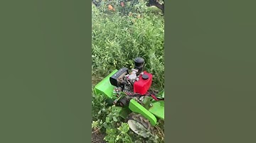 Multifunctional micro tillage machine Farmer good helper Weeding artifact Orchard weeding.😱