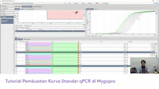 Tutorial Kurva Standar di Mygopro