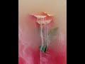 Submerged rose