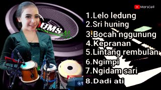 full album langgam campursari nyamleng tenan, sering di pakai hajatan,campursari setyo tuhu