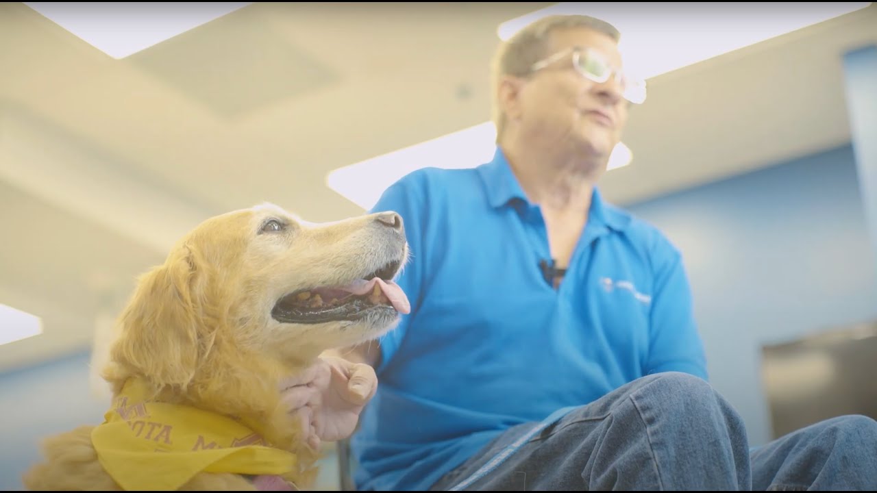 Mission Animal Hospital Austin and Dutchess Promo YouTube