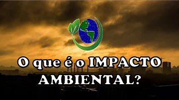 O que é lides ambientais?