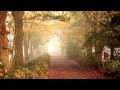 Relaxing Video - Sounds of Nature - Spa and Anti-Stress Video