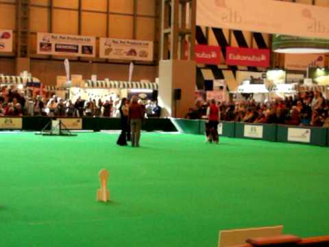 Mary Ray World Championship Crufts 2010