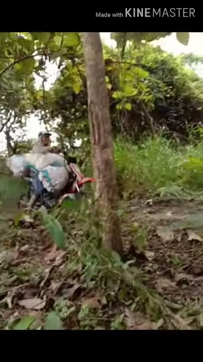 Dadi wong lanang kudu kerjo