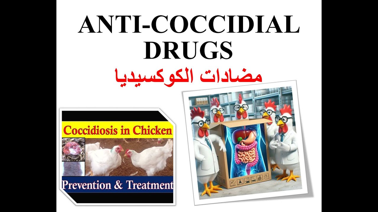 ANTI-COCCIDIAL DRUGS  مضادات الكوكسيديا