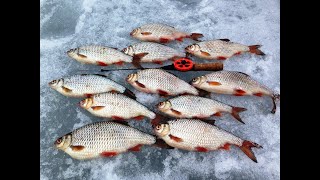 Зимняя рыбалка на Можайском водохранилище в Красновидово!