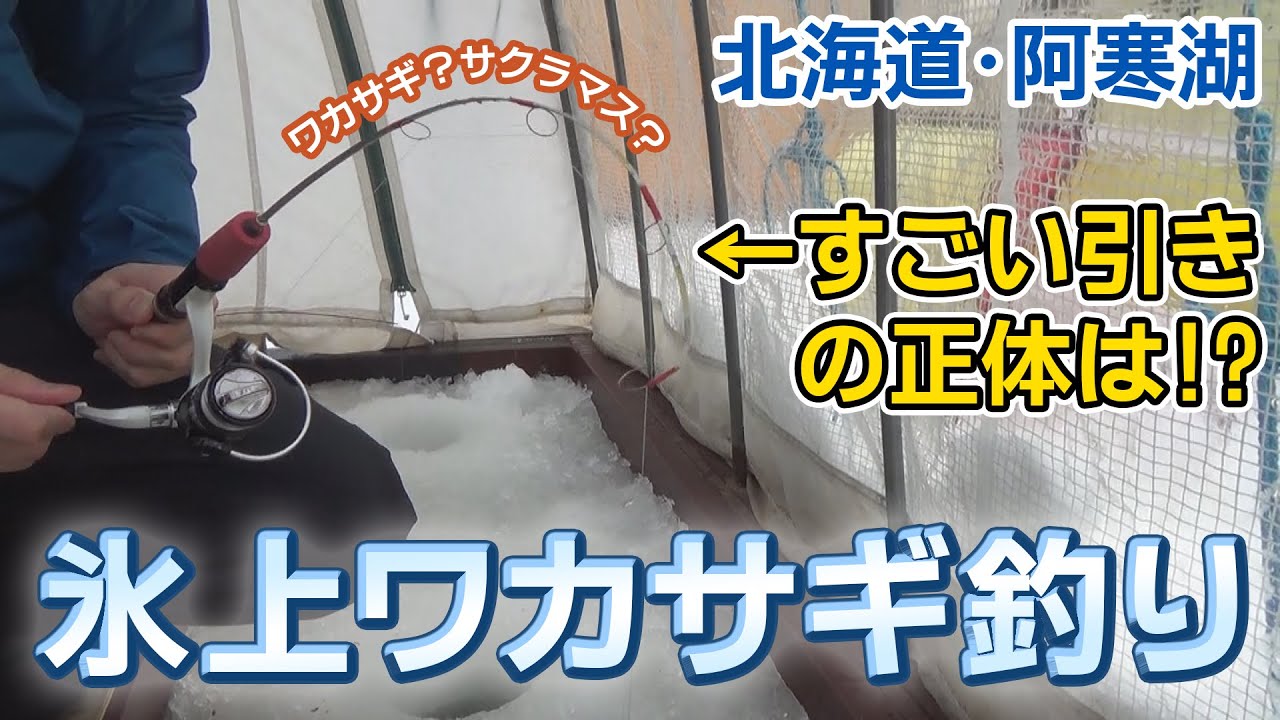阿寒湖でワカサギとサクラマスを釣る Youtube
