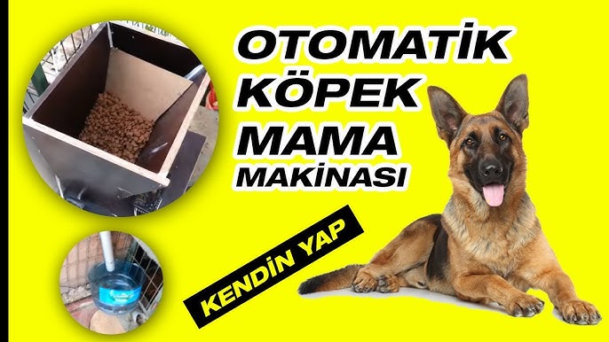 Otomatik Kopek Mama Ve Su Makinesi Kendin Yap Youtube