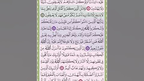 صفحة ٢٦ القرآن الكريم سورة البقرة الشيخ محمد صديق المنشاوي Quran karim Al Baqra page 26