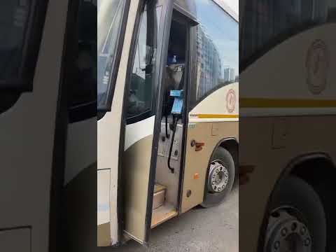 Video: Mumbajas Goa autobusu biļetes: kur vislabāk rezervēt tiešsaistē