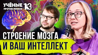 5 мифов о мозге, интеллекте и способностях. Ольга Сварник. Ученые против мифов 13-5