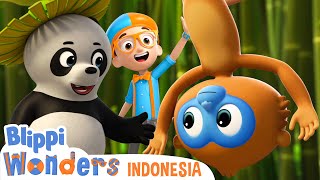 Teman Binatang - Panda dan Monyet 🐼🐵 | Blippi Wonders Indonesia | Kartun Petualangan Anak