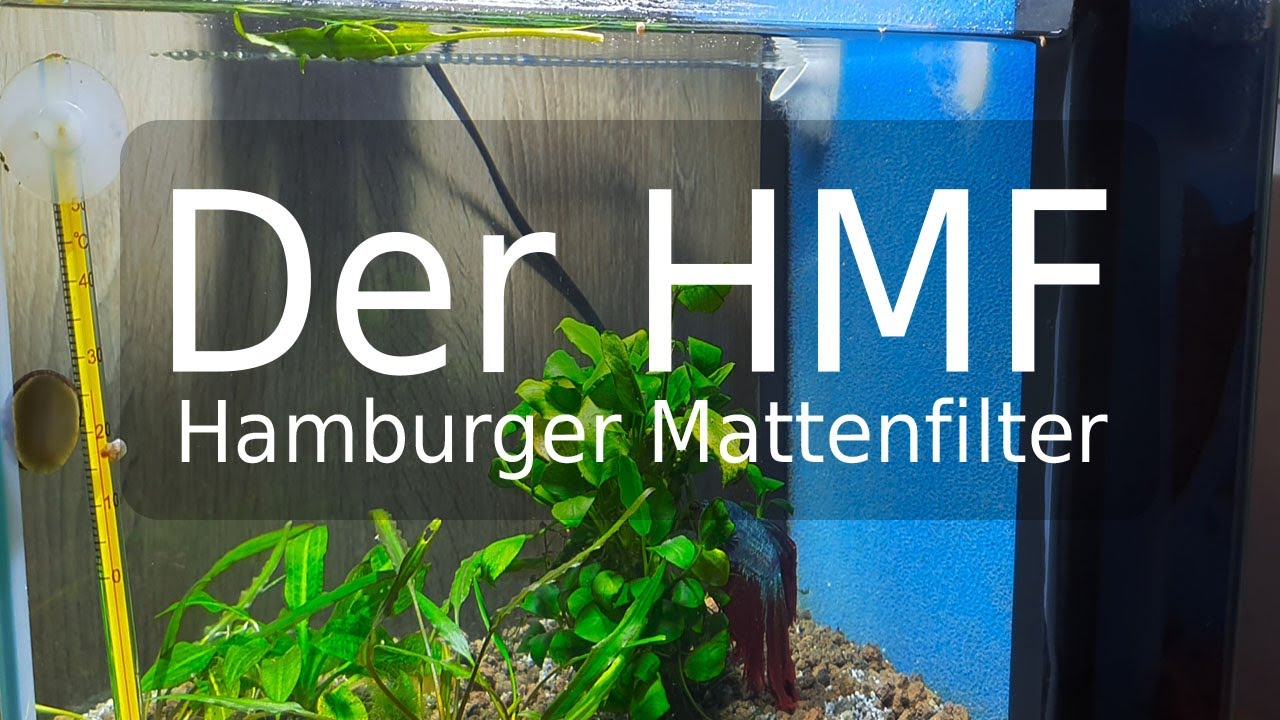 Berechnungen zum Hamburger Mattenfilter HMF und Tschechischen