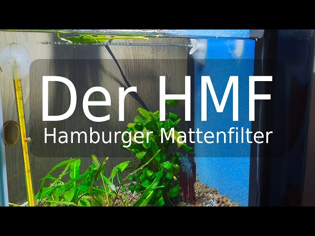 Der Hamburger Mattenfilter (#93) 