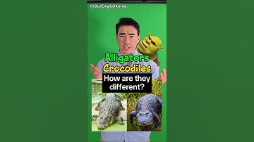 Know the difference: Alligators vs Crocodiles