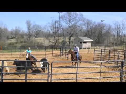 Won The Lotto Buckner Cowhorses