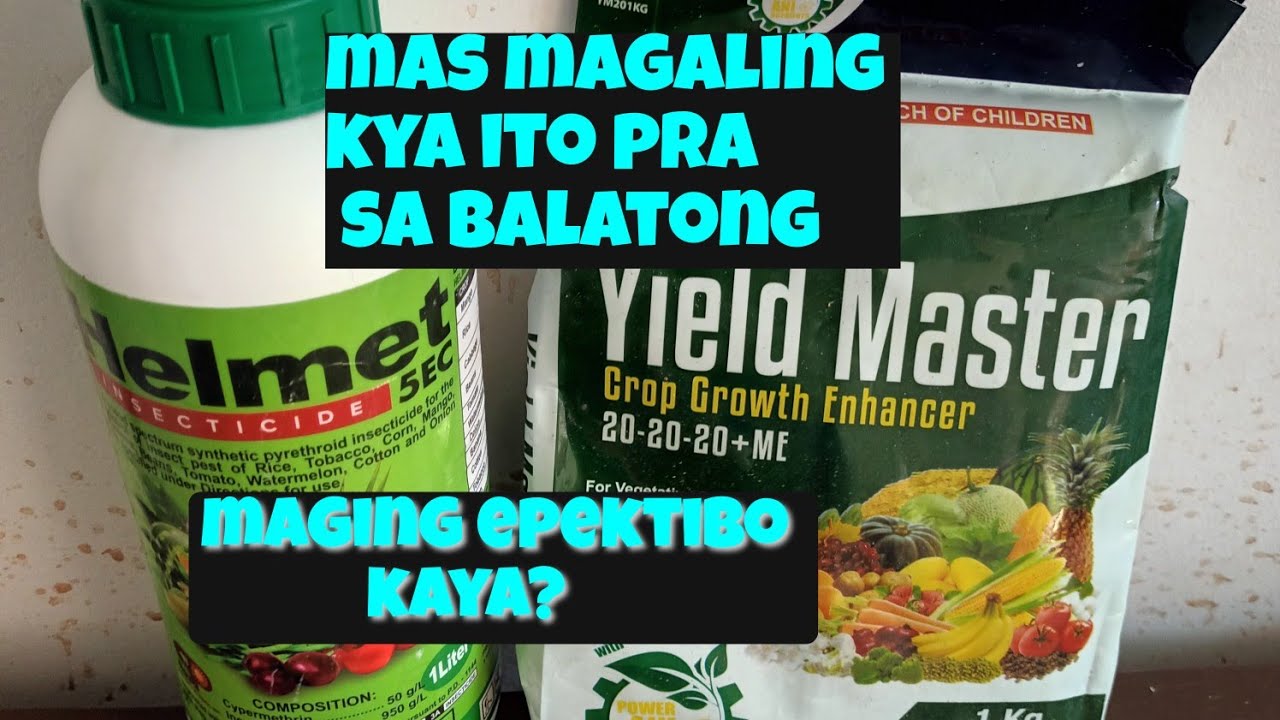 YIELD MASTER 20-20-20 +ME AT HELMET INSECTICIDE 5EC PINAGSAMA - YouTube