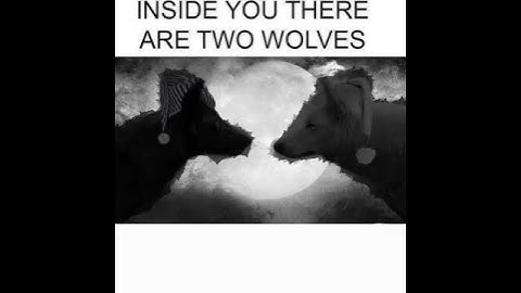 INSIDE YOU THERE ARE 2 WOLVES