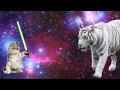 VFX Project 1: "Mega Laser Space Cats Ultra"