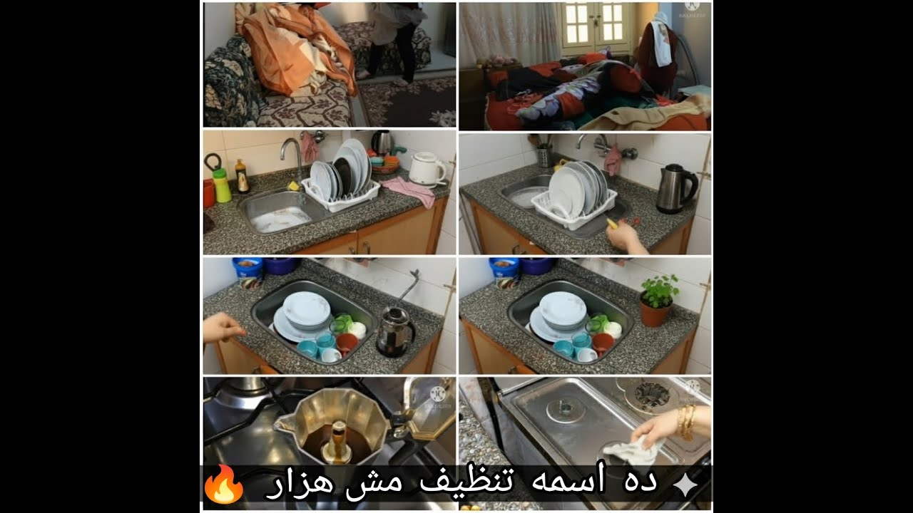 روتين تنظيف شامل للشقة من الصفر + تسليك مواسير الثلاجة وتنضيفها قبل ما تبوظ! + طبخ وغسيل🧽