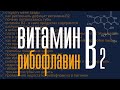 Рибофлавин (витамин В2):  источники, дефицит, что мешает усвоению. Почему на губах заеды и трещины?