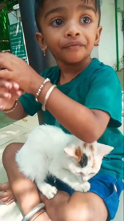  cute small cat - YouTube