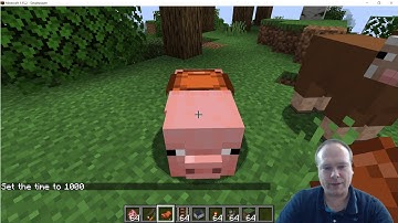 Minecraft Monday Ride a pig with carrot stick