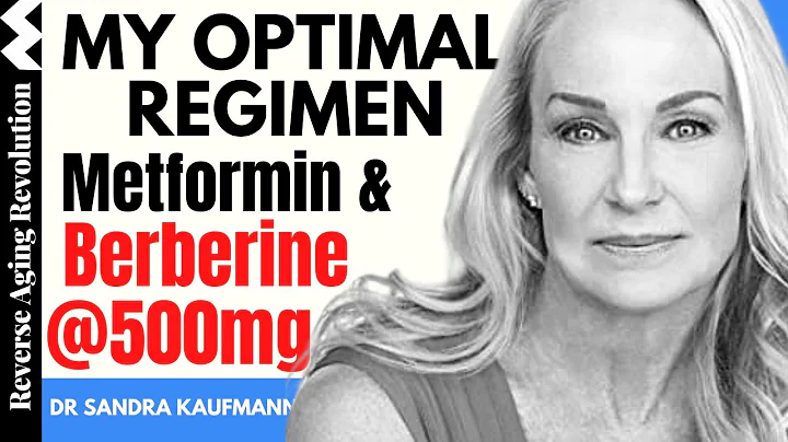 Berberine vs Metformin