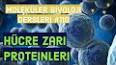 Moleküler Biyolojinin Uygulamaları ve Etkileri ile ilgili video