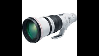 The new CANON EF 600 MM F/4 L IS III USM my first images