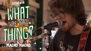 Macho Macho perform New Inbetween live at Flying Nun