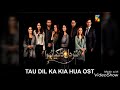 TAU DIL KA KIA HUA OST - LYRICS || HUM TV