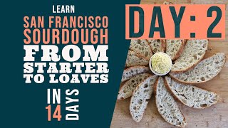 San Francisco Sourdough Bread Series: Day 2 - Starting your Starter