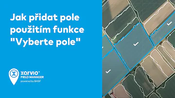 Jaký je význam slova v lexikálním systému?