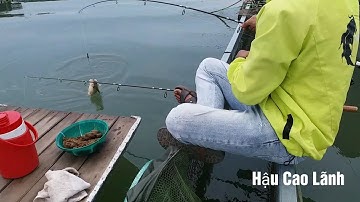 Test cám ĐH2, bè Bình Thạnh cá ăn khá mạnh - Hậu Cao Lãnh