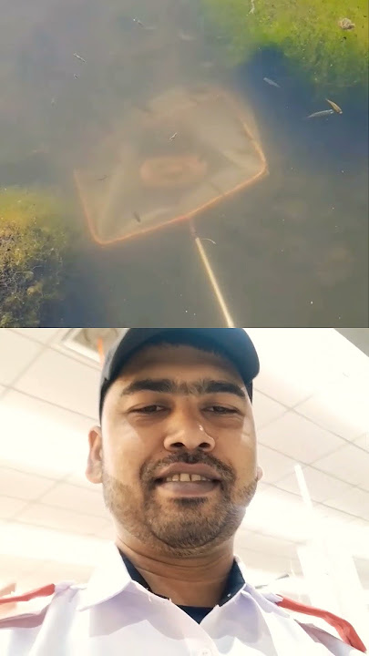 very easy fishing 🎣 #fish #fishing #ikan #mancing #carpfishing #nicespot #viralvideo #shortvideo