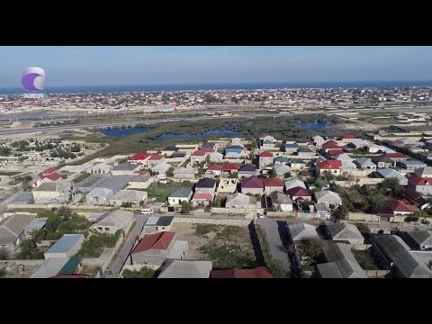 Video: Termitlər evlərini necə tikirlər?