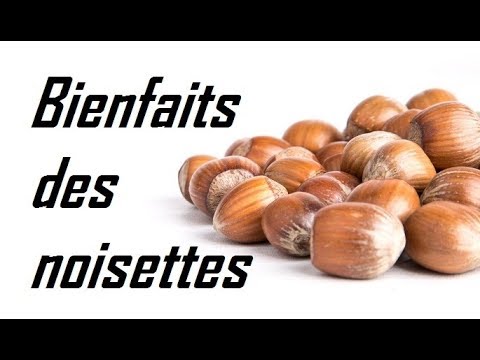 Vidéo: Pourquoi Les Noisettes Sont Utiles