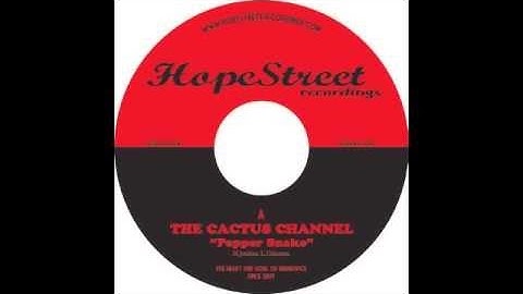 The Cactus Channel - Pepper Snake