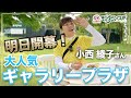【いよいよ明日開幕】大人気のギャラリープラザ!小西綾子さんが特別レポート!!