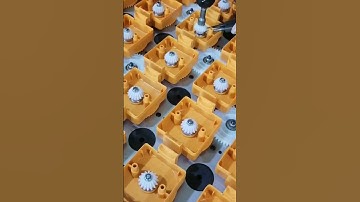 swivel wheel sorter, rotary wheel sorter, DWS system, DWS sorting line.