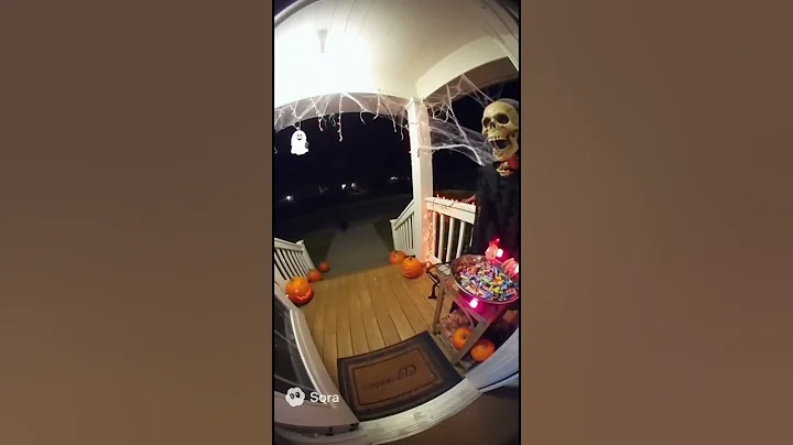 Bear got scared from my skeleton #fypage #fypシ #funny #halloween #fypシ゚viral #animals #ringtone