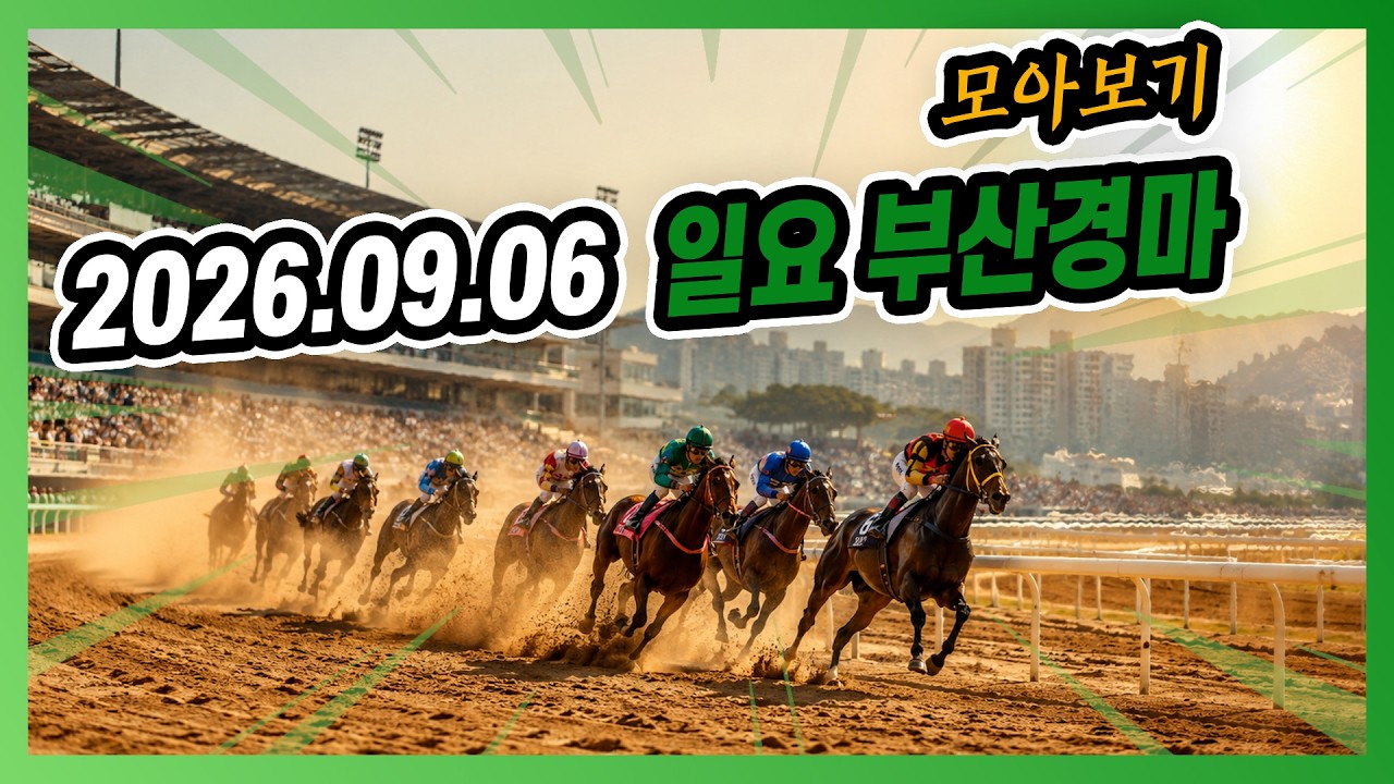 2026년 9월 6일 일요 부산경마 전체경주 모아보기