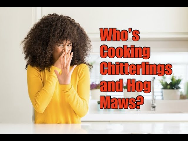 Chitterlings (Chitlins) - Immaculate Bites