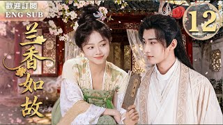 MULTISUB【最新古裝劇】🔥蘭香如故 EP12 💋#譚松韻✖#肖戰 刀劍交鋒後竟唇齒相接！💍二人契約結婚⚔️他追捕的頭號飛賊，竟是家中愛妻譚松韻！💘年度高能心動奇緣~ | 繁英雙字