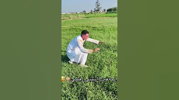 رايحه فين تعالي ارقيكي 