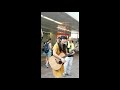 眉村ちあき ピッコロ虫 渋谷 路上 生ライブ フェスボルタ 20180715