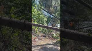 Highway Fire in Nevada County, Hwy 20 and Town of Washington