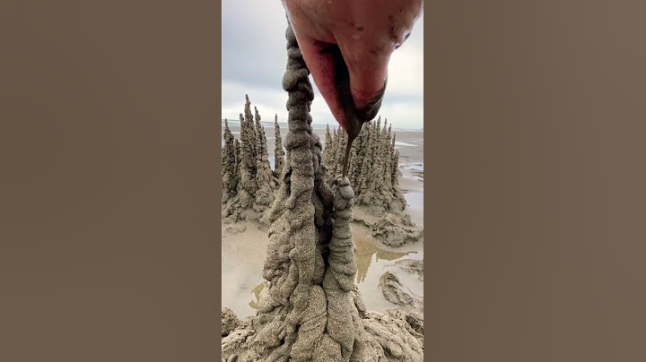 Sandcastle